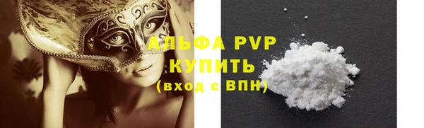 хмурый Дубна