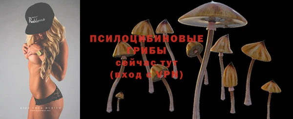 трава Гусев