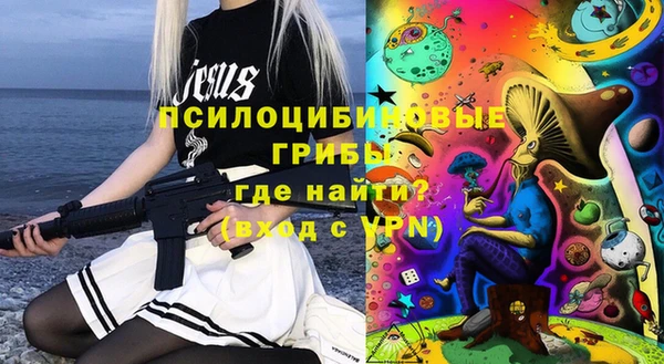 mix Гусиноозёрск