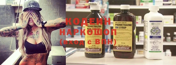 СК Гусь-Хрустальный