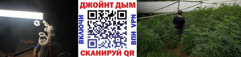 Бошки Шишки Amnesia  Долинск 